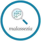 Malessezia and Dandruff